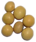 unhomogenized soybeans