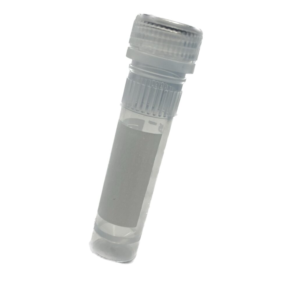 2 mL Bead Lysis Kits Next Advance Laboratory Instruments