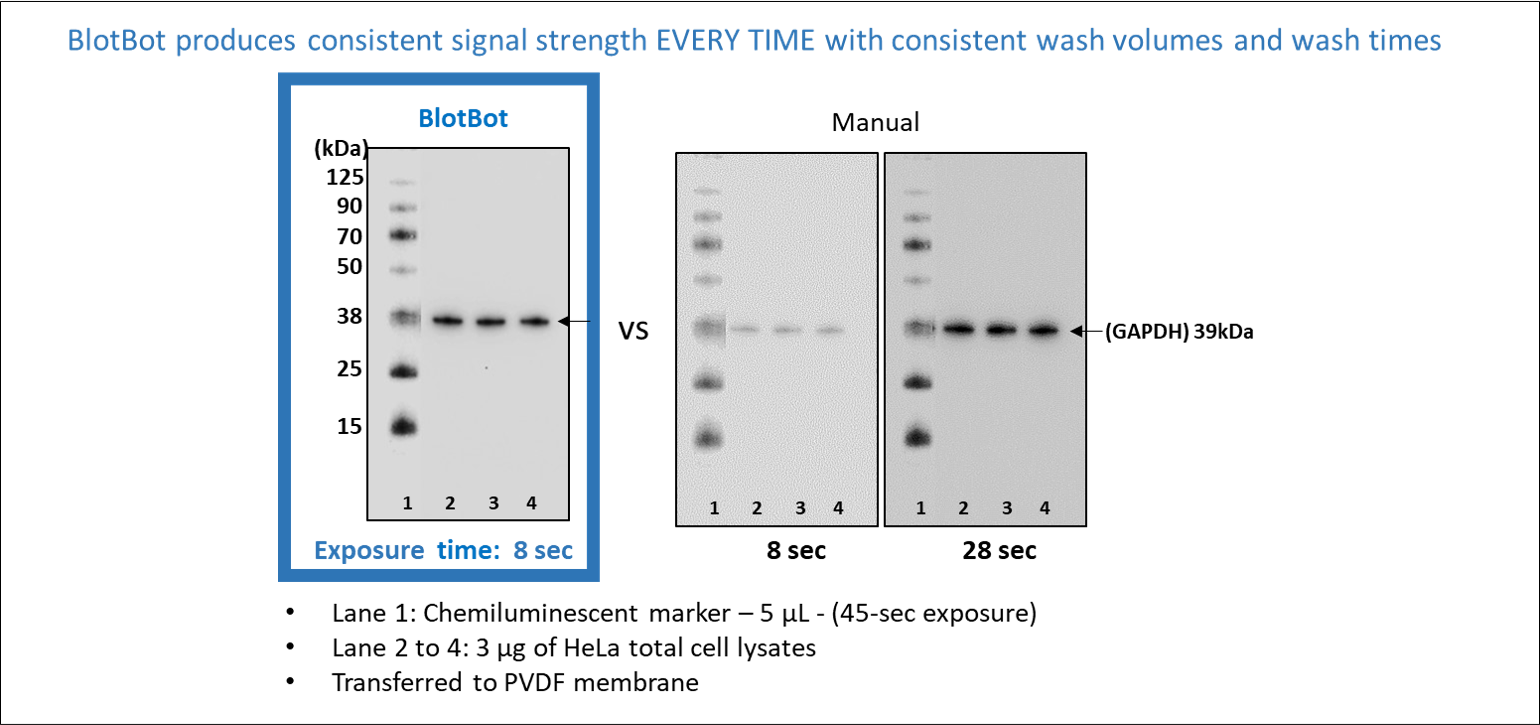 BlotBot produces consistent signal strength EVERY TIME with consistent wash volumes and wash times