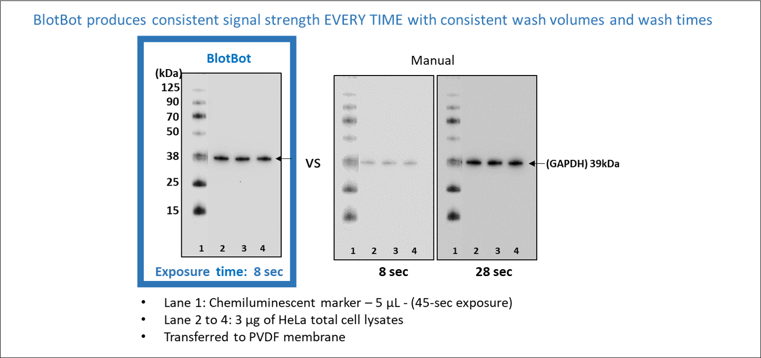 BlotBot produces consistent signal strength EVERY TIME with consistent wash volumes and wash times