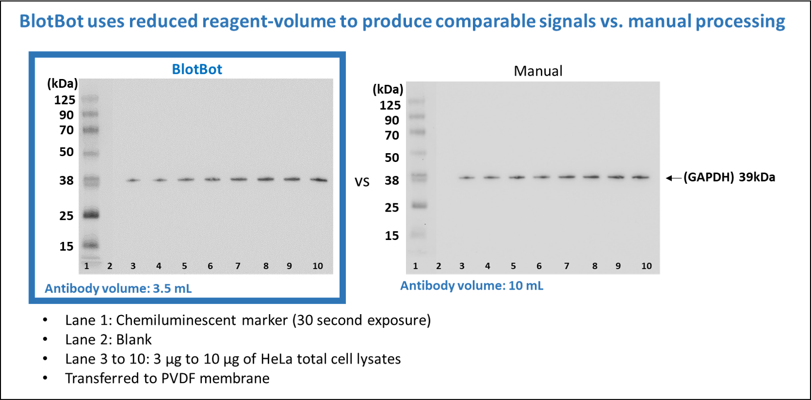 Automated Processor for Western Blots