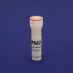 FoamBlocker