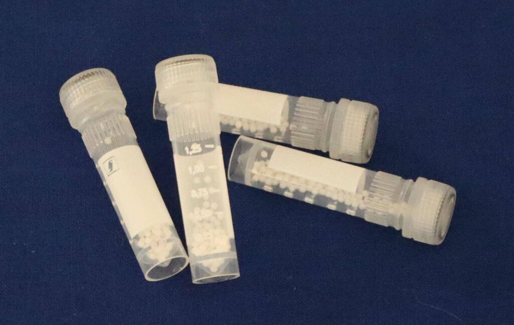 Lysing beads kits for tough