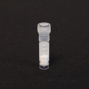 LYSP2B Bacteria Bead Lysis Kit