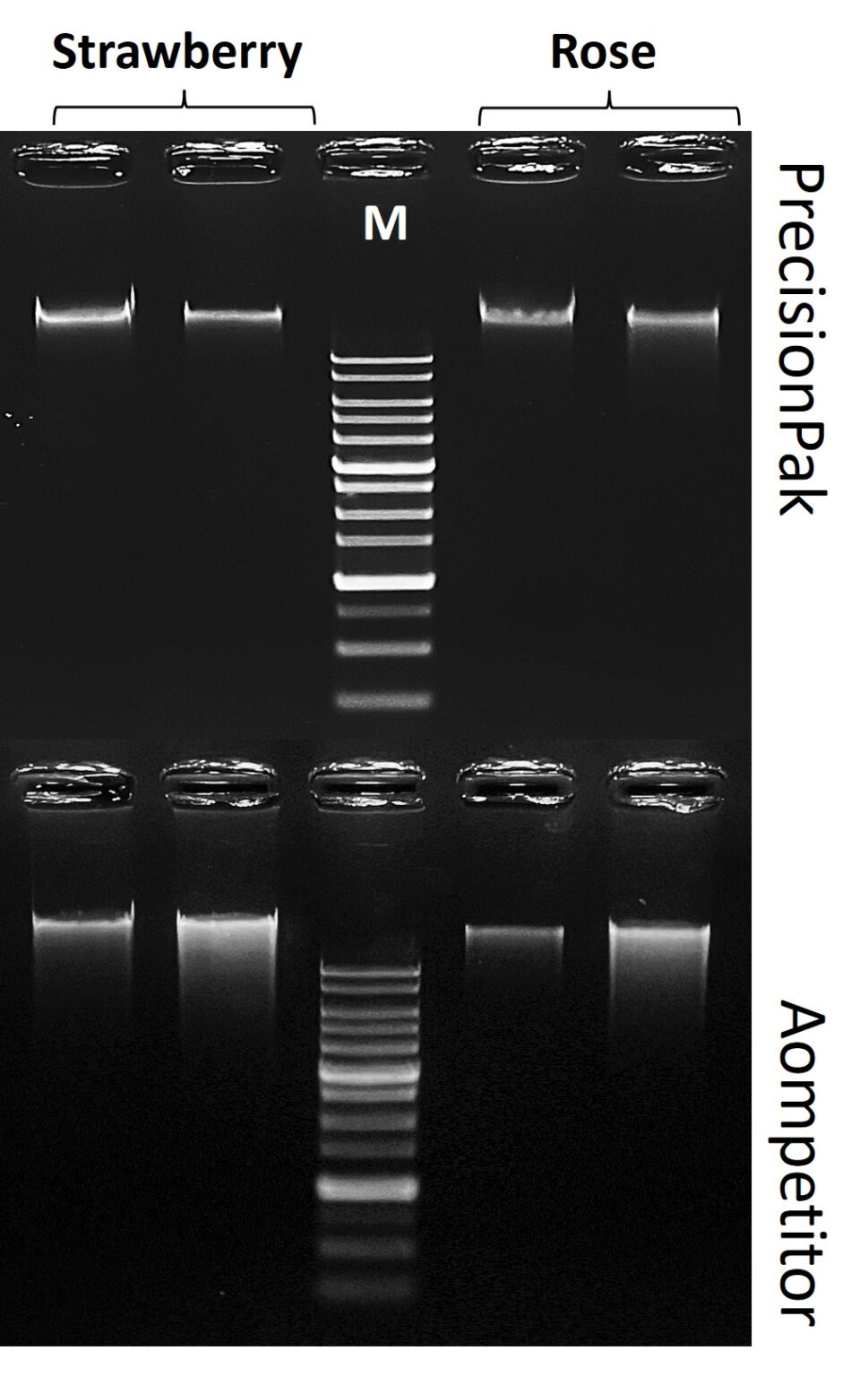 Plant Matter PrecisionPak Next Advance Laboratory Instruments