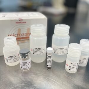 Magnetic Bead RNA Extraction Kit