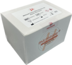 DNAmite Plant DNA Extraction Kit
