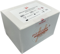 DNAmite Plant DNA Extraction Kit