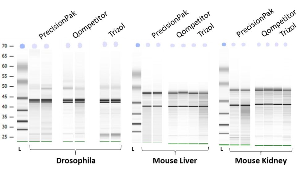 Best, high quality, high yield DNA and RNA extraction kits