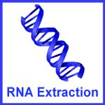 RNA Extraction